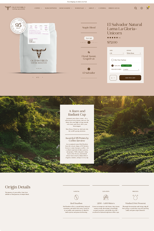 Custom Liquid Themes — Port80 Shopify service