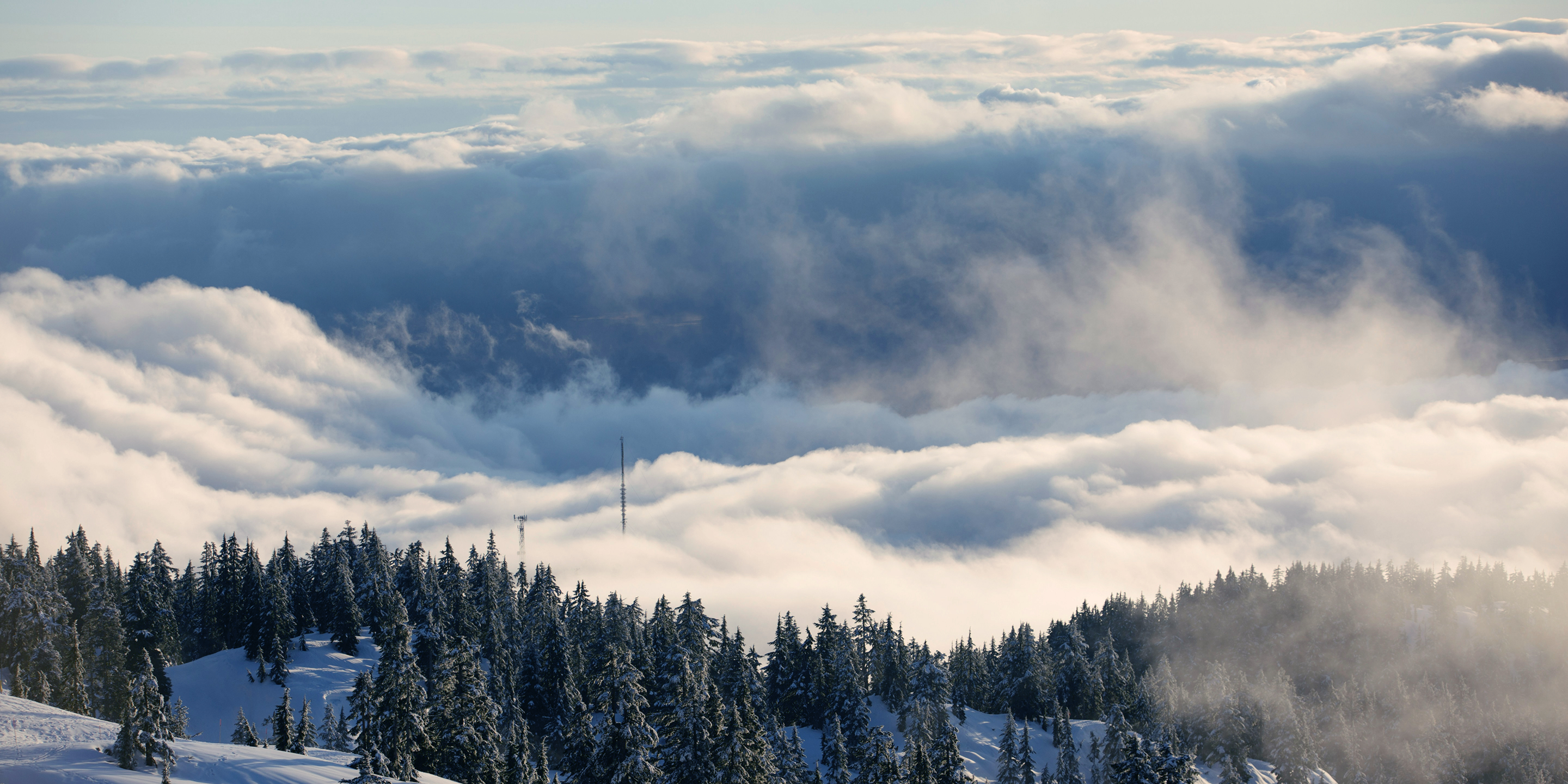 Spirits of Mt. Seymour – Port80 Case Study desktop banner