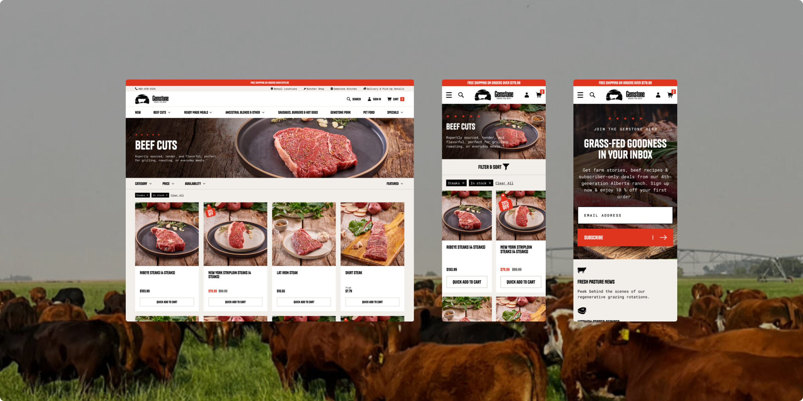 Gemstone Grass Fed Beef desktop and mobile page designs including collection page and email signup — Shopify design by port80